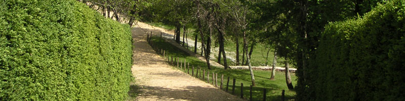 clermont-chemin800x200